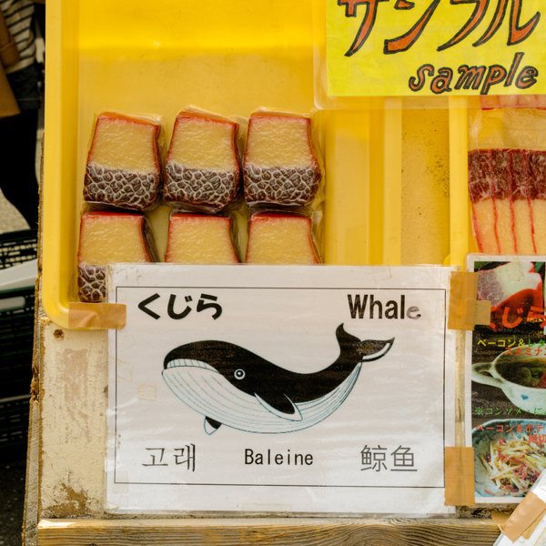 Sushis baleine